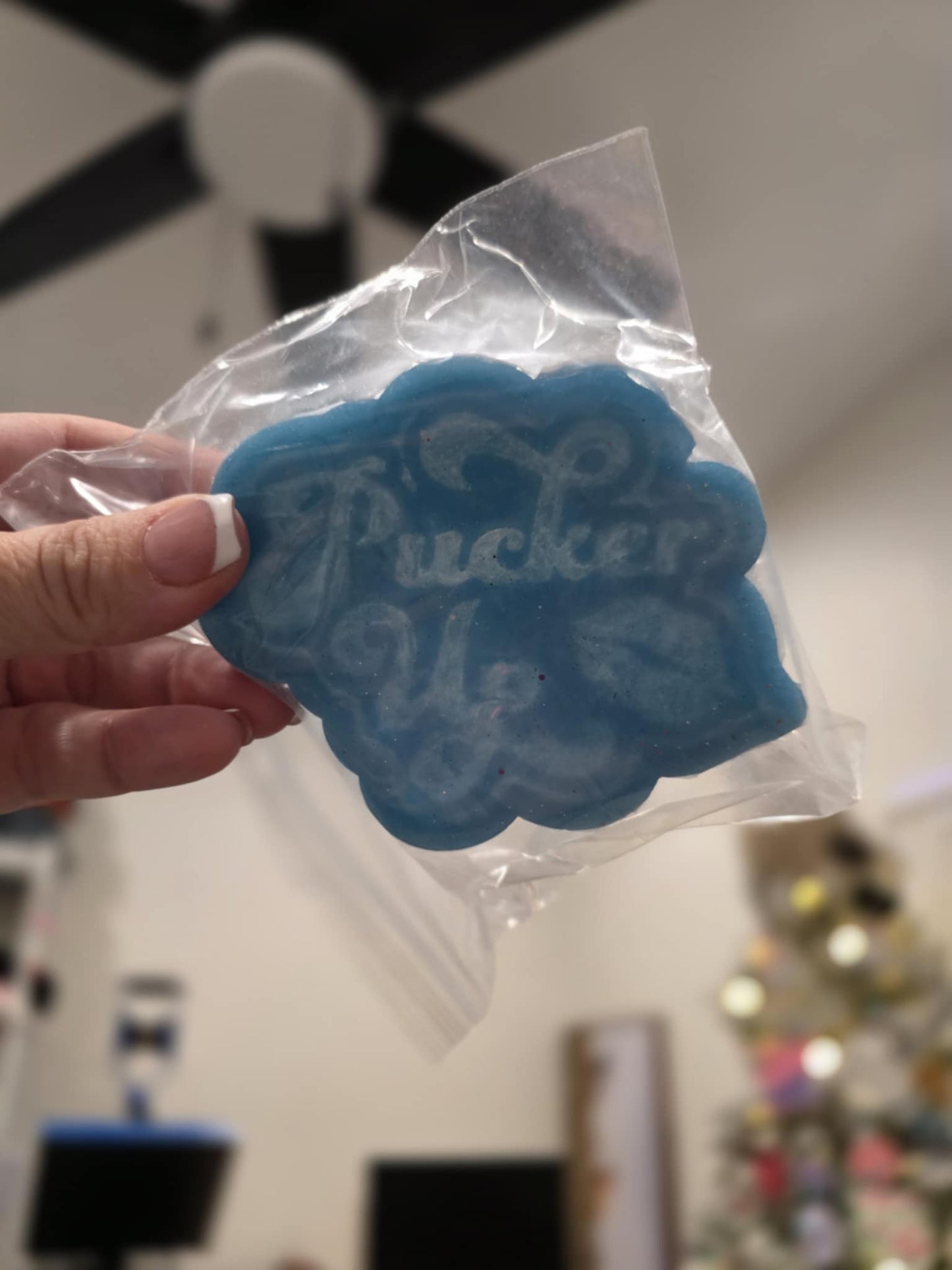 Freshie Mold Destash